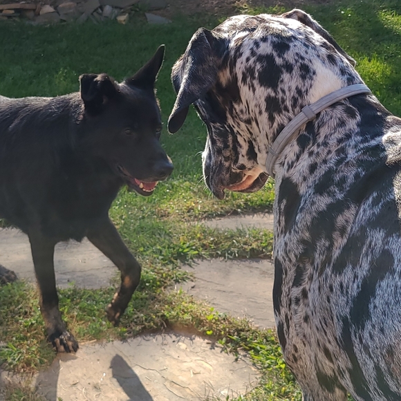 Meet your Posher, Scotti Leigh - Picture 7 of 8